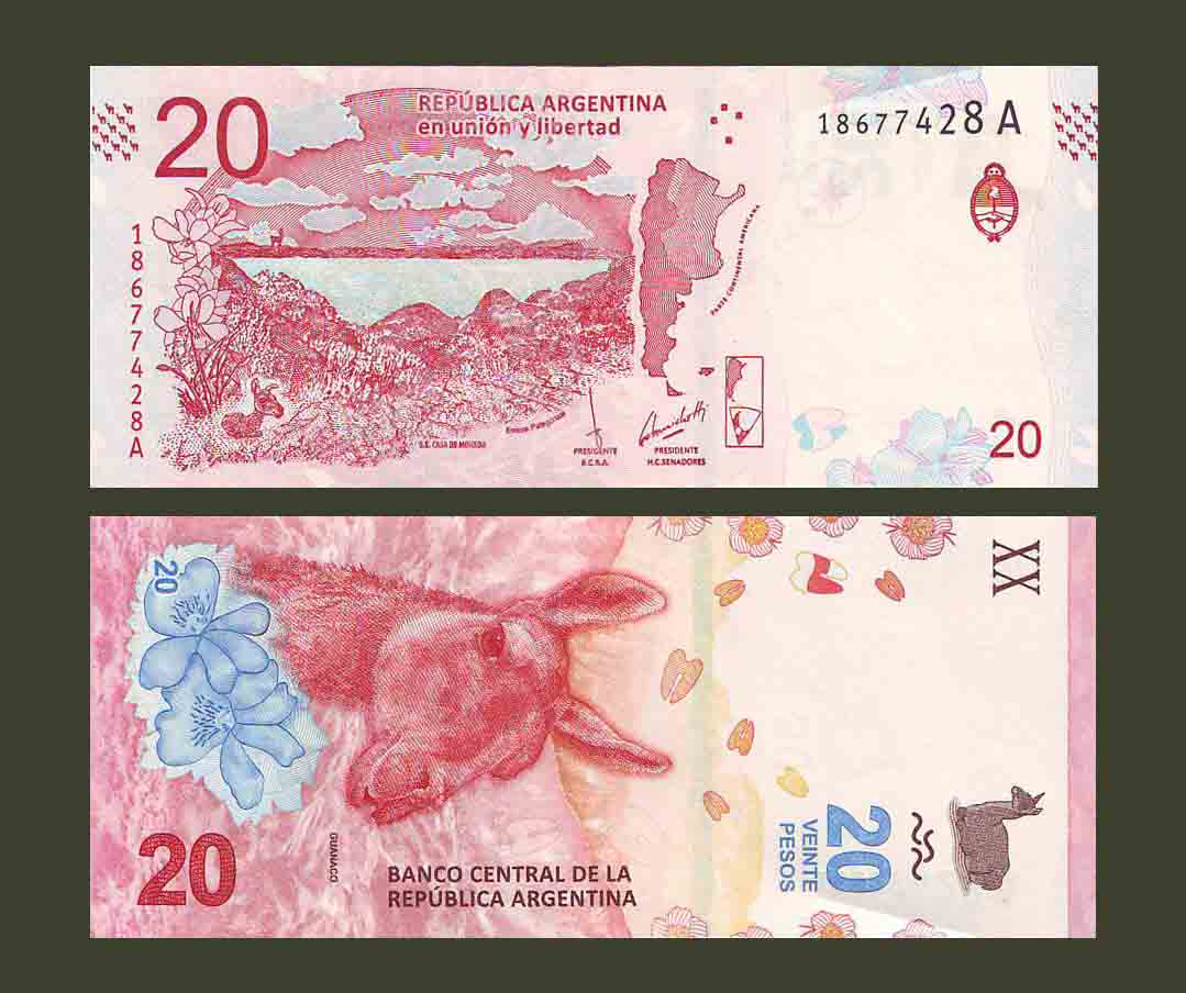 Argentina 20 Pesos 2017 P361a UNC
