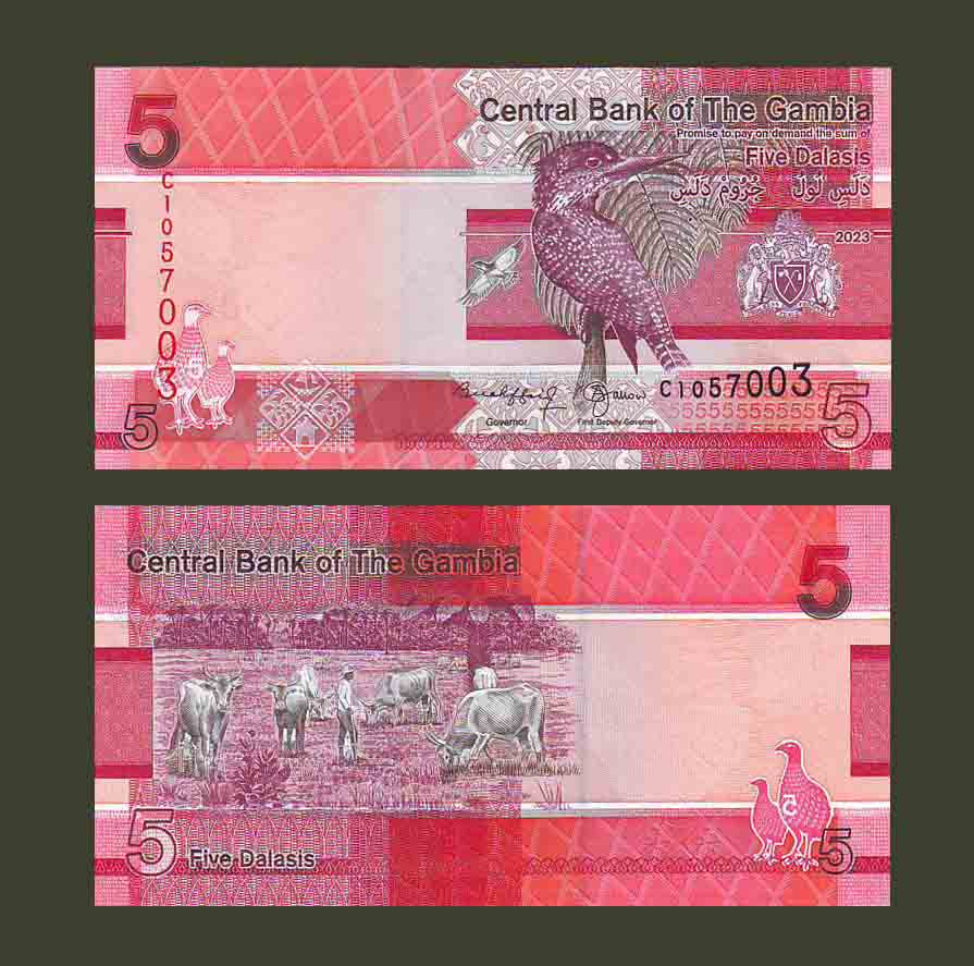 Gambia 5 Dalasis 2023 P37 UNC