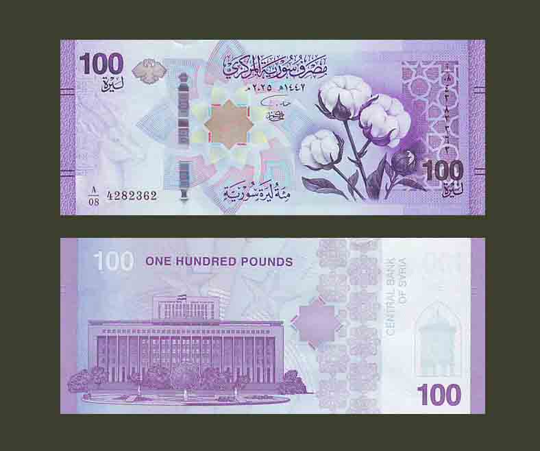 Syria 100 Pounds 2025 P-NEW UNC