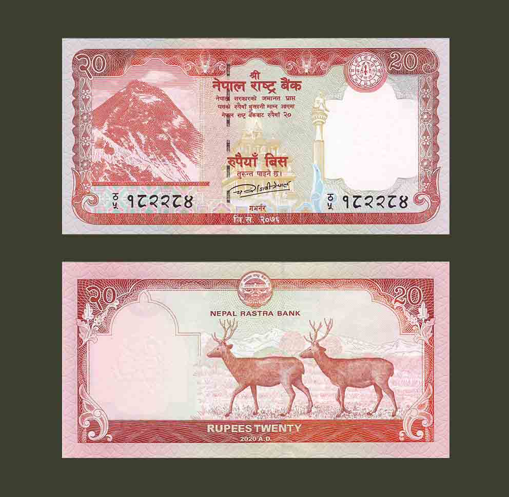 Непал 20 рупий 2020 P78b UNC