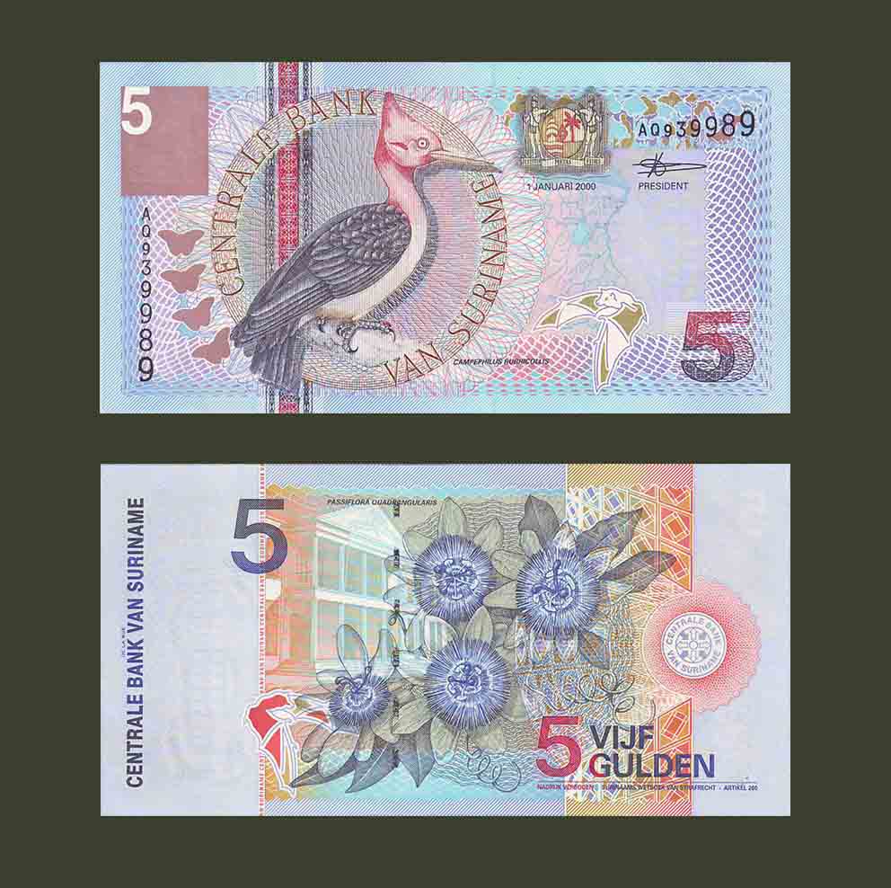 Suriname 5 Gulden 2000 P146 UNC